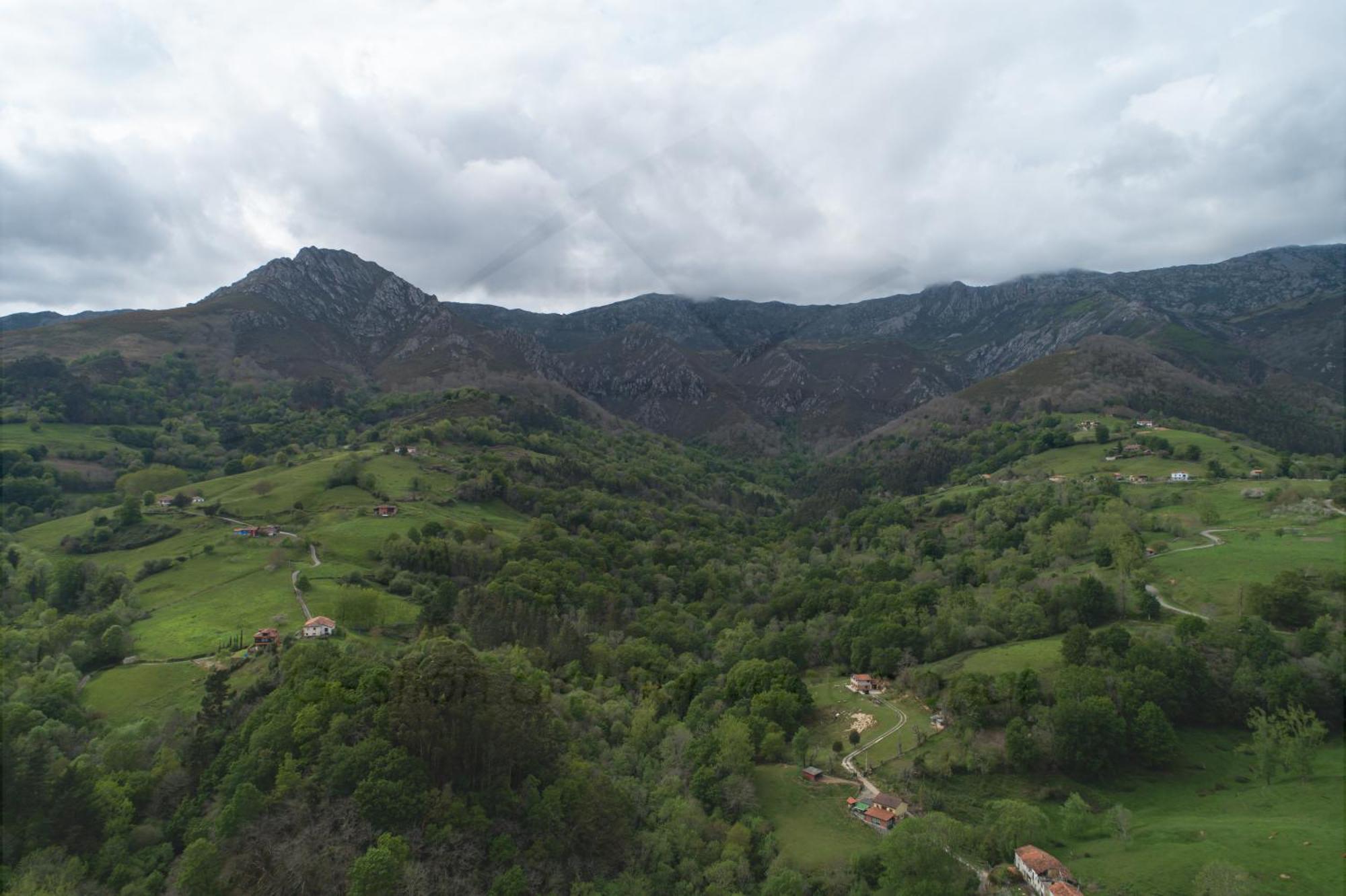 La Coqueta Del Sueve Villa Arriondas Eksteriør billede