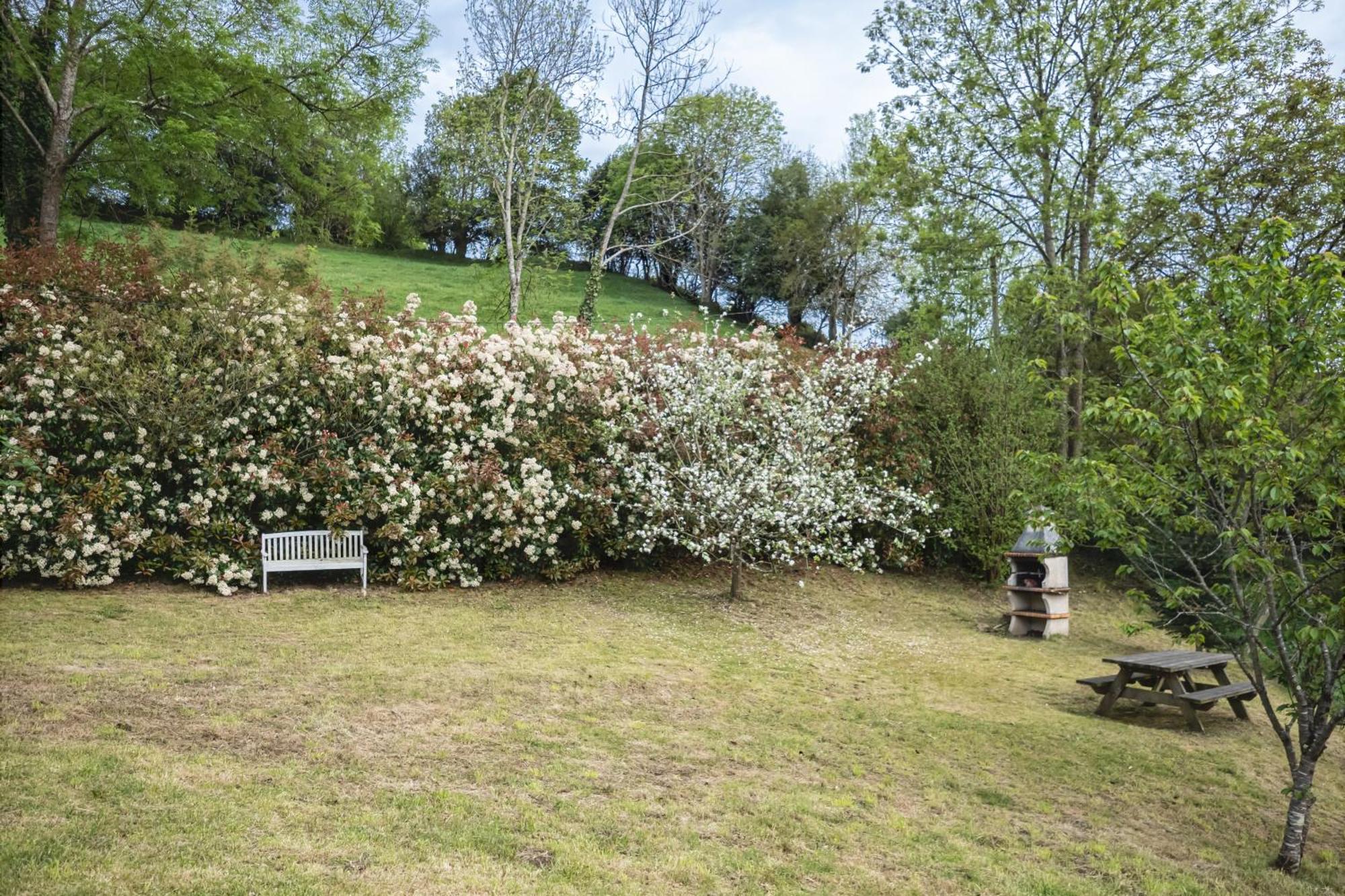 La Coqueta Del Sueve Villa Arriondas Eksteriør billede